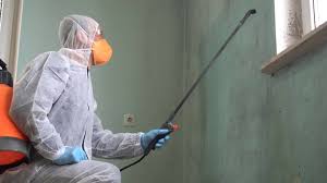 Best Asbestos and Lead Testing During Mold Inspection  in Cameron, WI